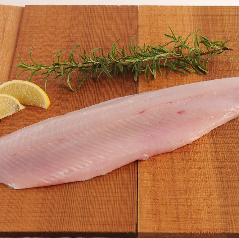 Walleye