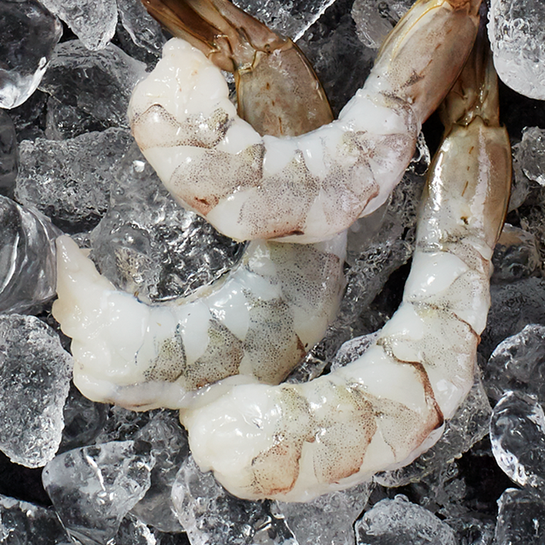 Colossal Shrimp
