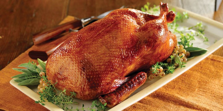 Duck